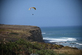 Enlarge photo 1603