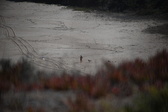 Enlarge photo 1624