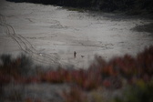 Enlarge photo 1625