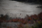Enlarge photo 1626