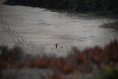 Enlarge photo 1627