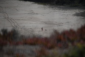 Enlarge photo 1628