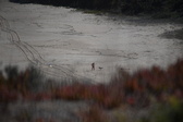 Enlarge photo 1629