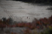 Enlarge photo 1630