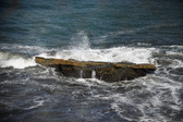 Enlarge photo 1644