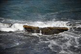 Enlarge photo 1646