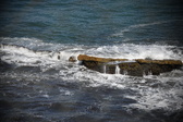 Enlarge photo 1649