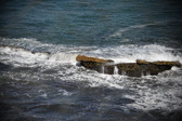 Enlarge photo 1650