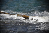 Enlarge photo 1652
