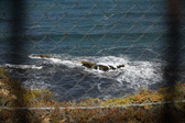 Enlarge photo 1654