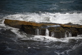 Enlarge photo 1657