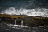 Enlarge photo 1665