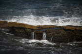 Enlarge photo 1667