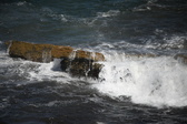 Enlarge photo 1668