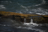 Enlarge photo 1669