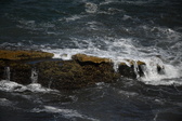 Enlarge photo 1675
