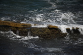 Enlarge photo 1677