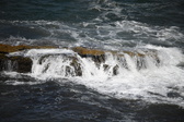 Enlarge photo 1685