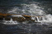 Enlarge photo 1686