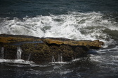 Enlarge photo 1691