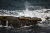 Enlarge photo 1693