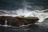 Enlarge photo 1694