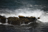 Enlarge photo 1696