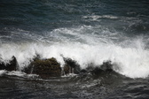 Enlarge photo 1697