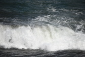 Enlarge photo 1698