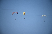 Enlarge photo 1726