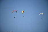 Enlarge photo 1727