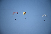 Enlarge photo 1728