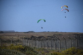 Enlarge photo 1733