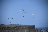 Enlarge photo 1735