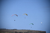 Enlarge photo 1739