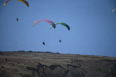 Enlarge photo 1745