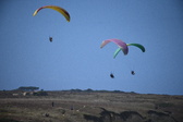 Enlarge photo 1746