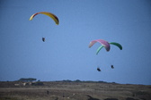 Enlarge photo 1747