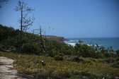 Enlarge photo 1754