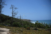 Enlarge photo 1755