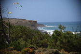 Enlarge photo 1761