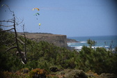 Enlarge photo 1766