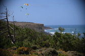 Enlarge photo 1771