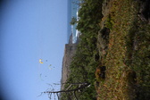 Enlarge photo 1773