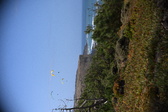 Enlarge photo 1774