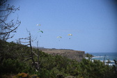 Enlarge photo 1778
