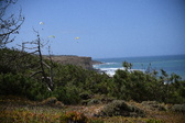 Enlarge photo 1779