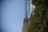 Enlarge photo 1791