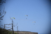 Enlarge photo 1794