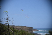 Enlarge photo 1796